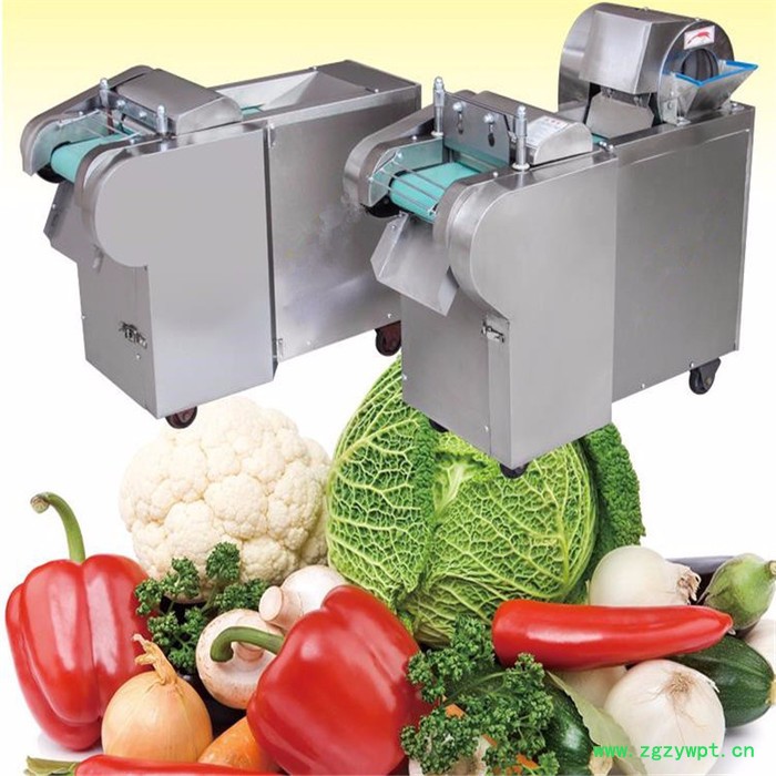 切笋丝机笋片机 白萝卜切条机 灵芝切片机切段机图6