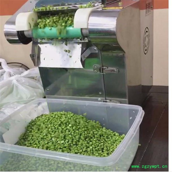 切笋丝机笋片机 白萝卜切条机 灵芝切片机切段机图3