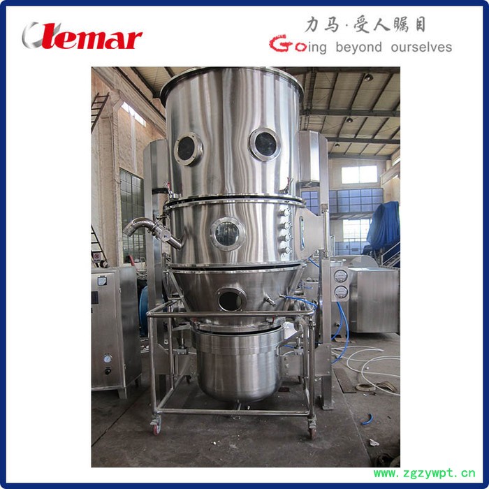 常州力马-FG-400立式沸腾干燥床、灵芝孢子粉流化床制粒包衣机图4