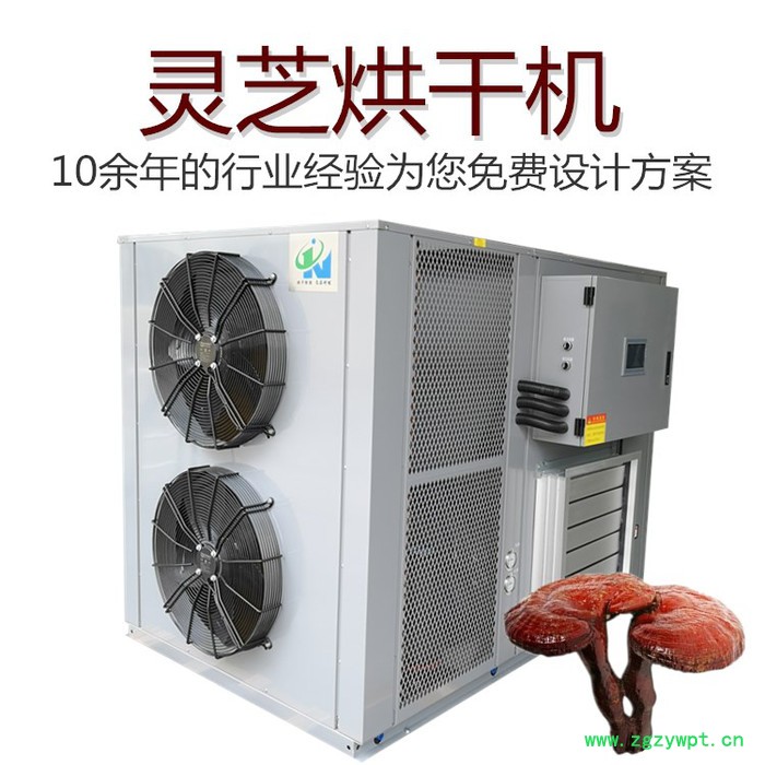 灵芝烘干机 全自动中药材烘干设备厂家 科能KN-290RD图3