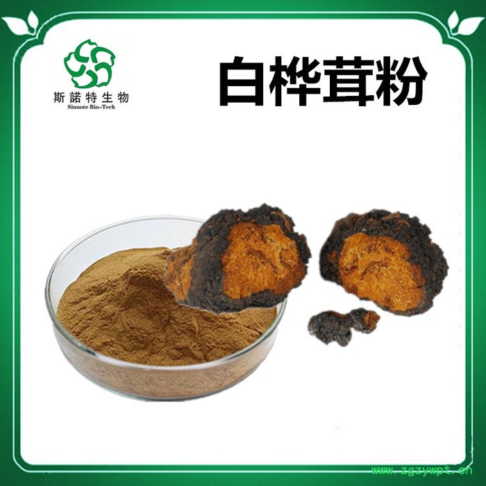 斯诺特 白桦茸喷雾干燥粉 白桦茸浸膏粉 生产厂家 桦褐孔菌粉图5