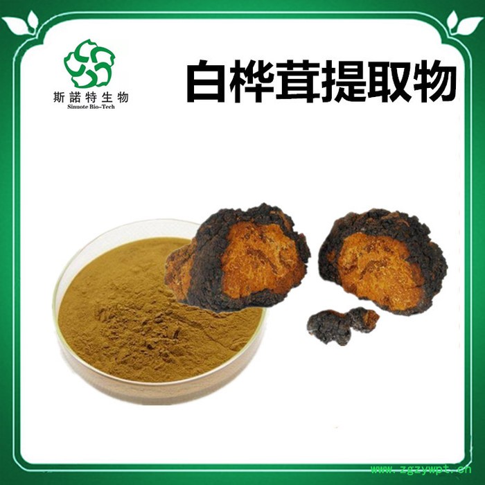 斯诺特 白桦茸喷雾干燥粉 白桦茸浸膏粉 生产厂家 桦褐孔菌粉图4