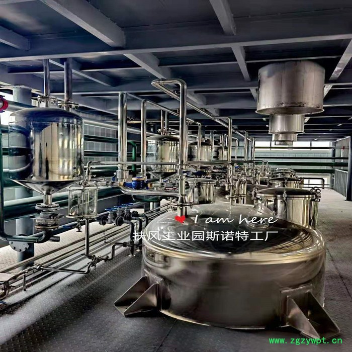 斯诺特 白桦茸喷雾干燥粉 白桦茸浸膏粉 生产厂家 桦褐孔菌粉图3