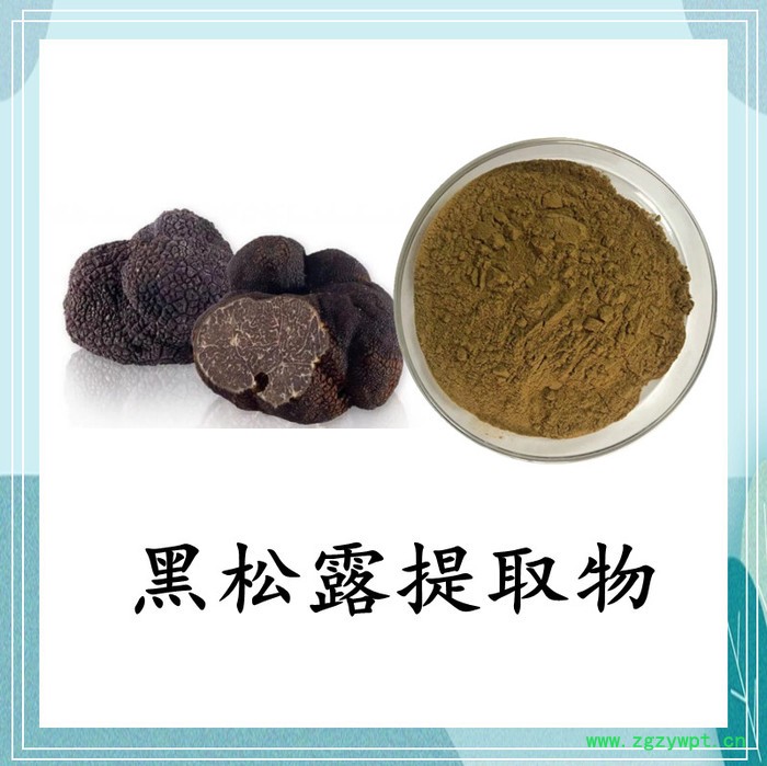 白桦茸提取物 斯诺特 可定制图2