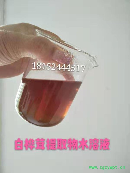 白桦茸多酚10% 桦褐孔菌提取物 水溶性桦树菇粉图8