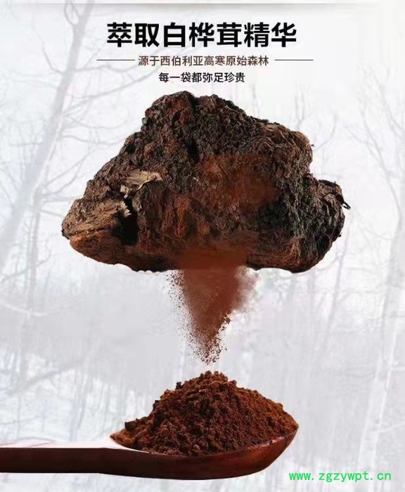 白桦茸多酚10% 桦褐孔菌提取物 水溶性桦树菇粉图4