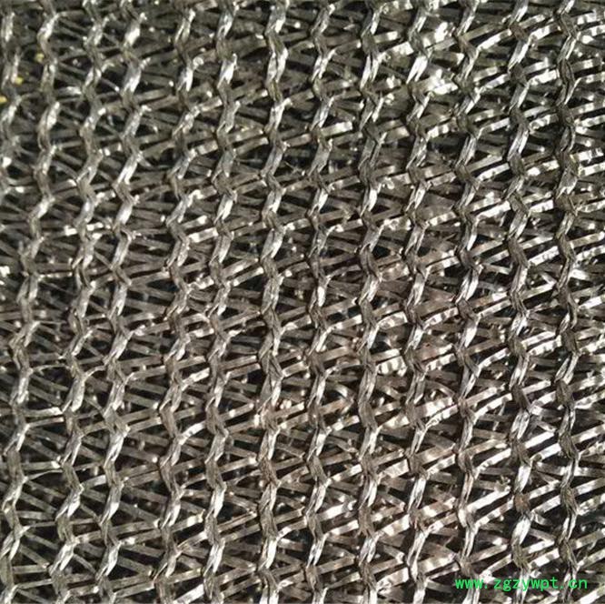 江瀚厂家供应3针遮阳网 药材遮阳网 灵芝遮阳网 温室遮荫网  大姜遮阳网 遮阳网效果 遮荫网 遮光网 厂家直供图5