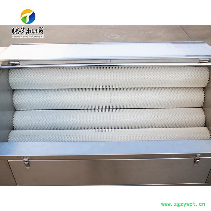 腾昇TS-M600清洗去皮机专场 毛刷式果蔬清洗去皮机 土茯苓/山药去皮机 广西天冬去皮机腾昇TS-M600图3