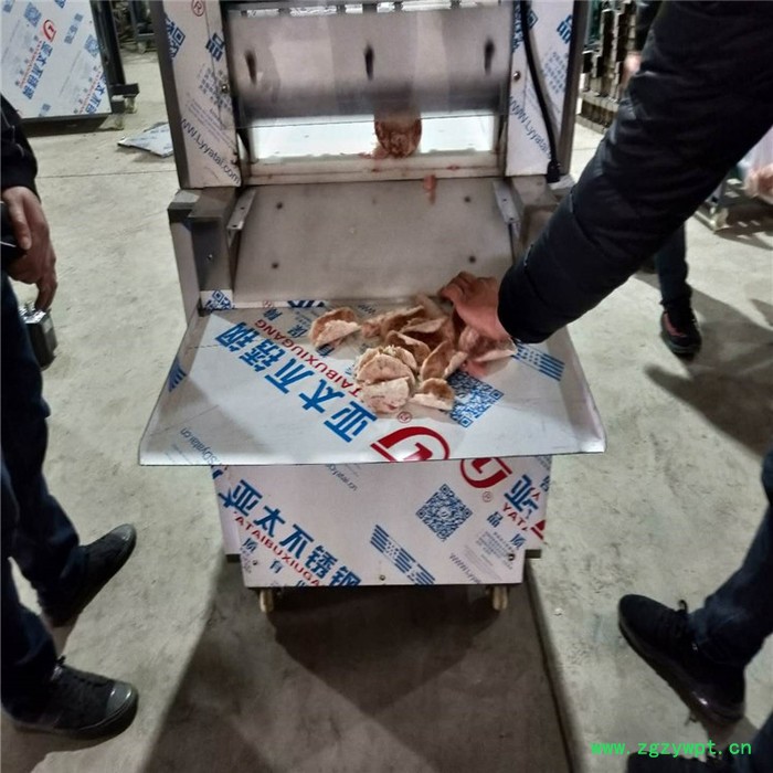 利顺 LS-DRQP数控牛羊肉切片机冻肉肥牛切卷机阿胶年糕刨片机电动切肉片机图8