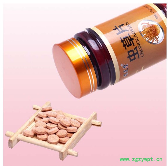 白桦茸 虫草粉 虫草超微粉 虫草片OEM生产  灵芝细粉 各种超微粉代加工