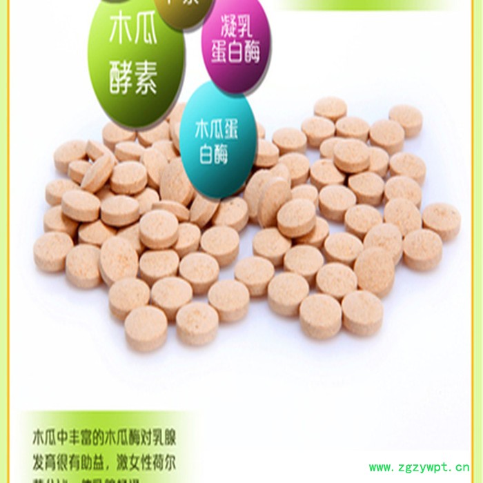 白桦茸 虫草粉 虫草超微粉 虫草片OEM生产  灵芝细粉 各种超微粉代加工图3