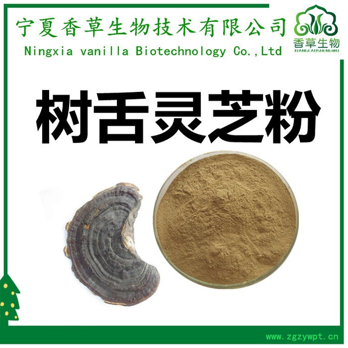 香草生物 树舌提取物20：1 厂家供应树舌多糖30% 树舌粉 树舌灵芝粉现货图4
