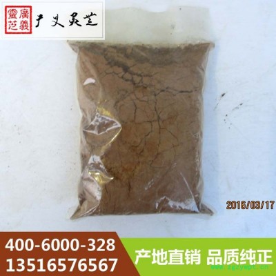 河北灵芝超细粉供应商 灵芝菌种厂家 广义灵芝