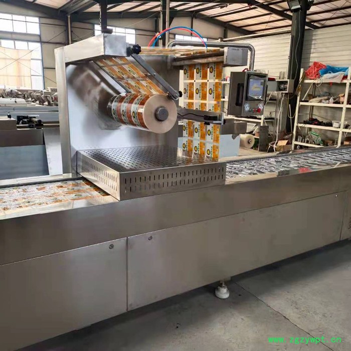 义康RA200D 鸡爪拉伸膜真空包装机 猪蹄真空包装机 阿胶拉伸膜真空包装机图8