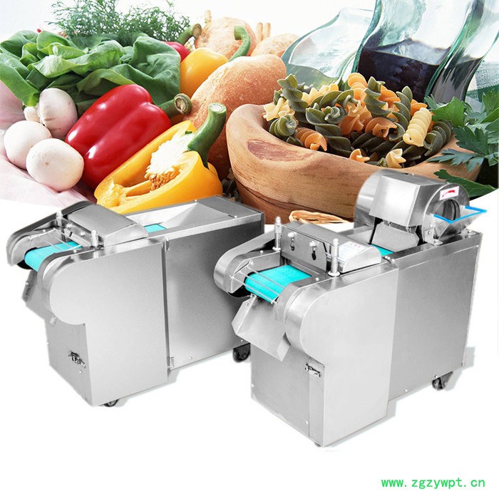 驰航机械 叶菜花样式切菜机 灵芝切片机价格 豆角切段机 仿手工切菜机图3