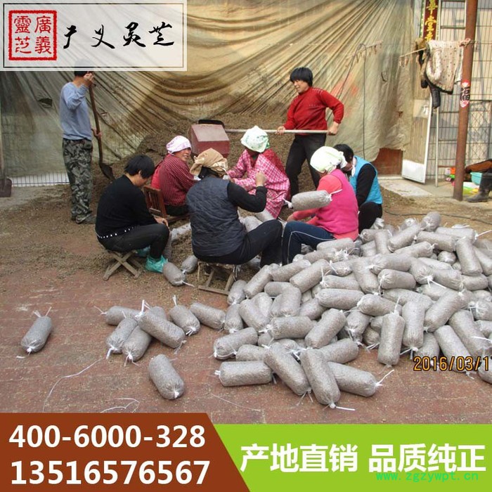 山东灵芝基地直供灵芝菌棒 灵芝菌种广义灵芝图7