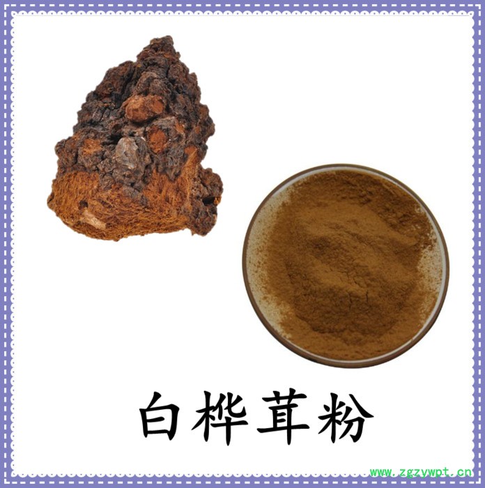 白桦茸提取物 六盘韵 水溶 可定制 品质保障图4