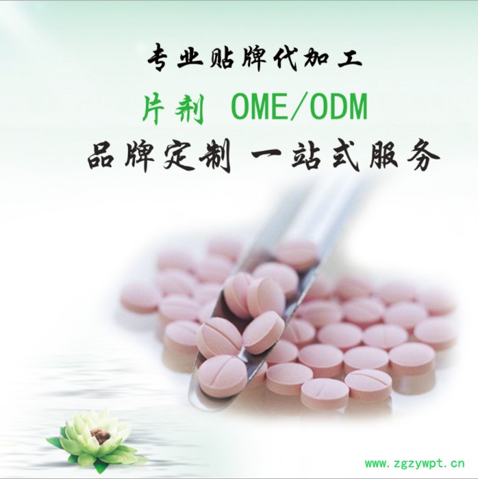 桦褐孔菌代加工 白桦茸片代加工 中老年保健品代加工 片剂oem图2