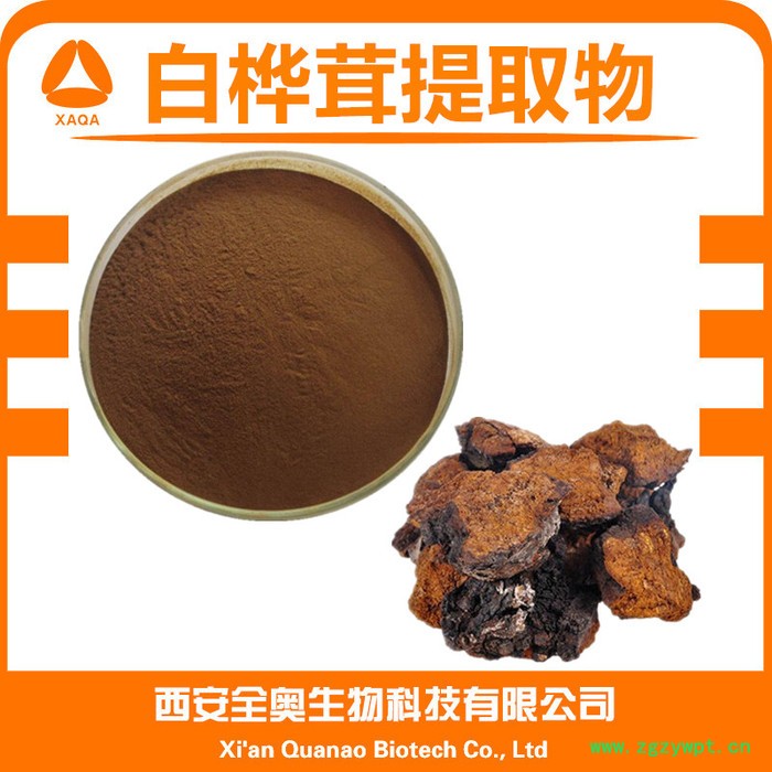 桦褐孔菌提取物  桦褐孔菌多糖 水溶 白桦茸提取物 桦褐孔菌粉 全奥生物图5