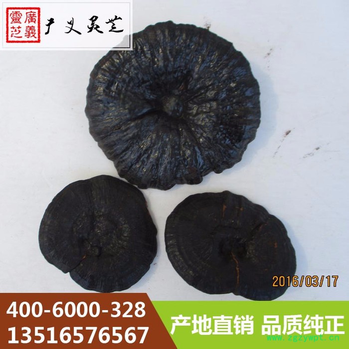 黑灵芝 黑灵芝 报价 黑灵芝生产基地图8