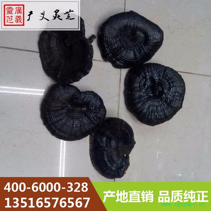 黑灵芝 黑灵芝 报价 黑灵芝生产基地图7