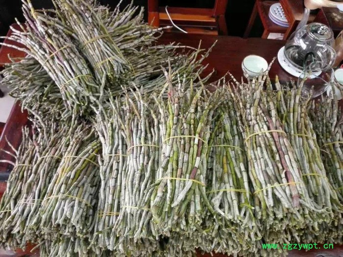 白石山铁皮石斛药材种子、种苗图4