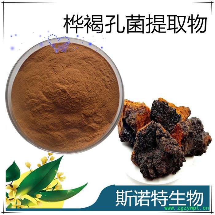 桦褐孔菌粉 白桦茸粉 桦褐孔菌天提取物 生产厂家包邮图6