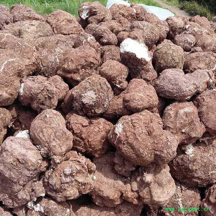 鹏程农业 特级鲜茯苓图2