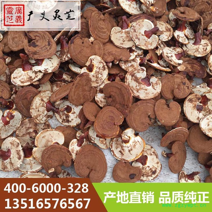 山东**灵芝切片厂家 灵芝菌种批发 广义灵芝图4