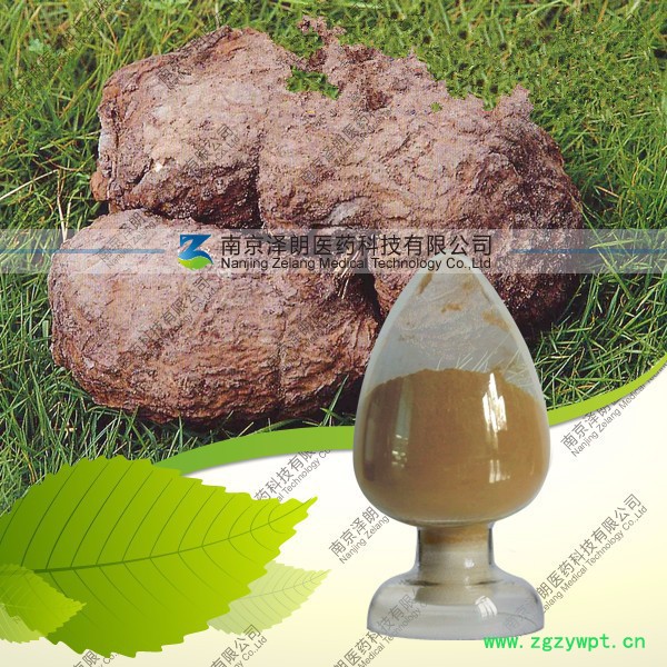 南京泽朗供应   茯苓提取物