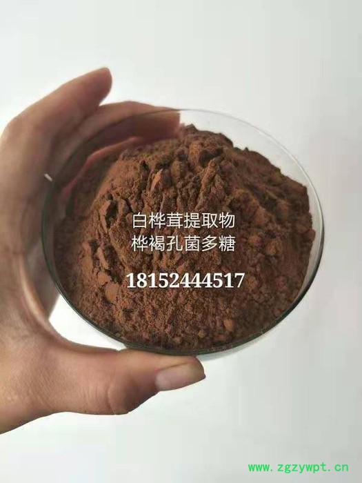香草生物 白桦茸提取物 白桦茸多糖30%价格  桦褐孔菌素90% 桦树茸提取物厂家供应图4