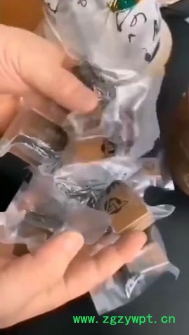 白桦茸菌丝桶250克/桶一桶18棵-20棵包装礼盒新鲜食用菌菇巴西蘑菇小赤松茸煲汤特产包装礼盒送礼滋补产品吉林原产地整只