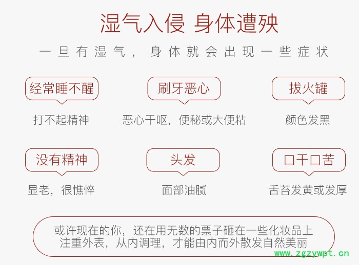 今跃 红薏米芡实茶枸杞茯苓甘草栀子怀菊花祛除茶湿热去湿气男女人茶包图4