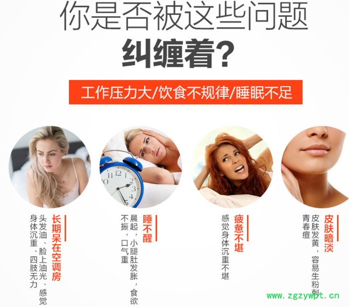 今跃 红薏米芡实茶枸杞茯苓甘草栀子怀菊花祛除茶湿热去湿气男女人茶包图5