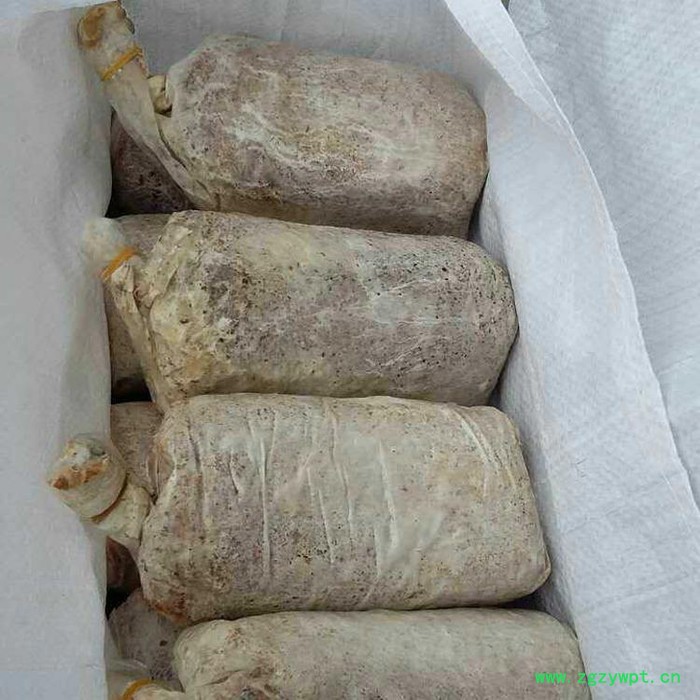鹏程农业 茯苓菌种袋出售