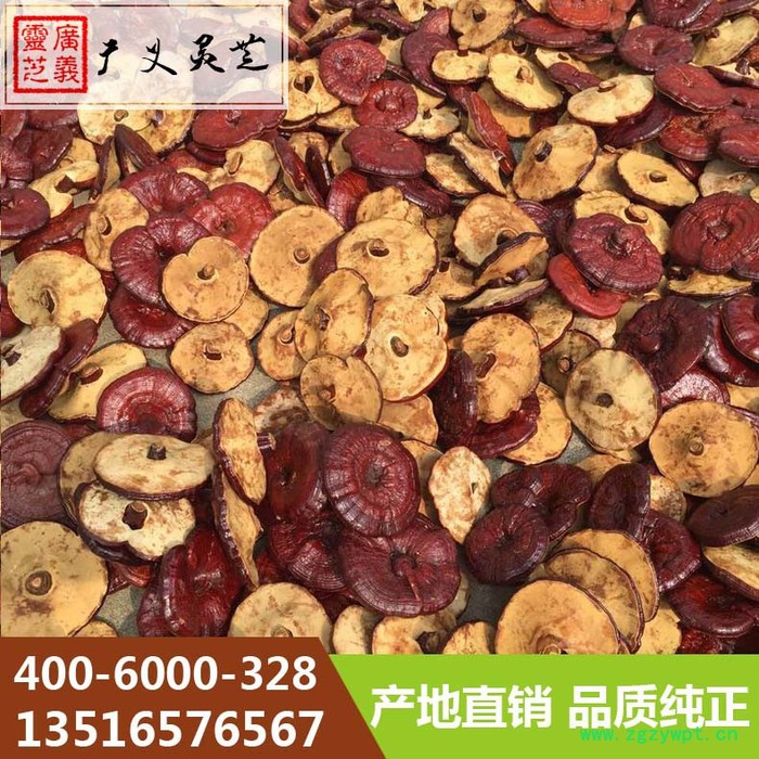 山东椴木灵芝价格 段木灵芝厚肉种植厂家 广义灵芝图2