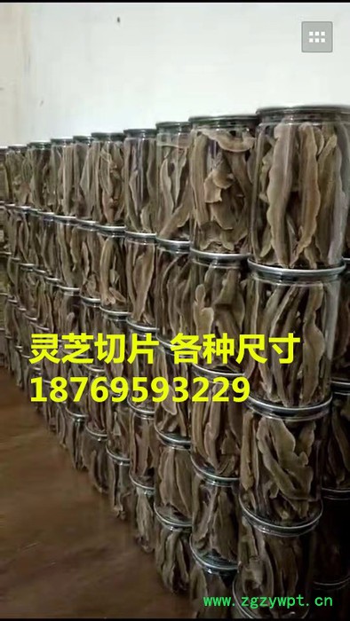 灵芝基地批发零售一级灵芝切片，量大从优