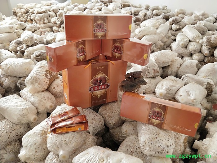 烟台永卿斋  灵芝菌丝粉 灵芝粉 营养菌粉 复合菌丝粉 源头厂家图4