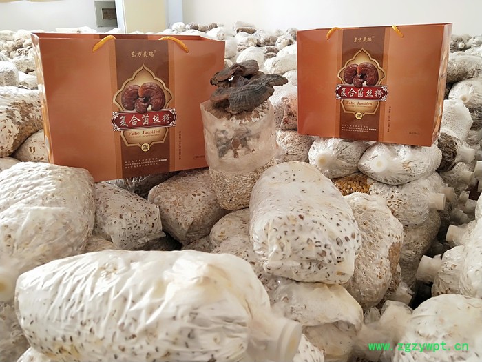 烟台永卿斋  灵芝菌丝粉 灵芝粉 营养菌粉 复合菌丝粉 源头厂家图8