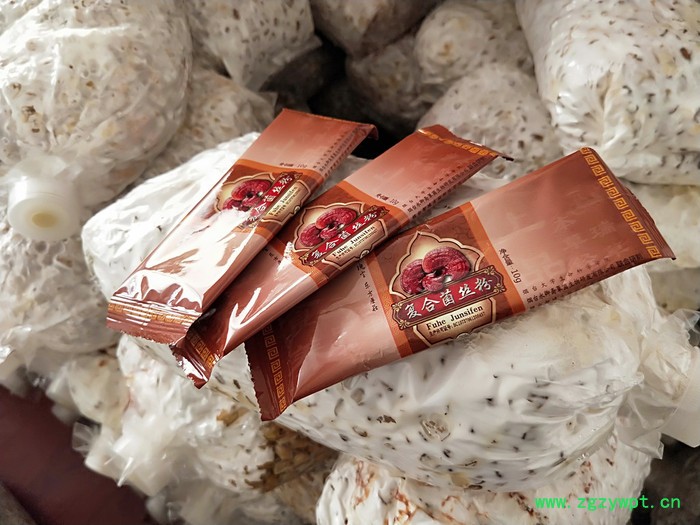 烟台永卿斋  灵芝菌丝粉 灵芝粉 营养菌粉 复合菌丝粉 源头厂家图5
