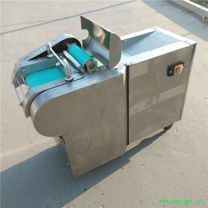 蔬果切丝切丁机器 大型中草药材切片机 660型号切丝机图4