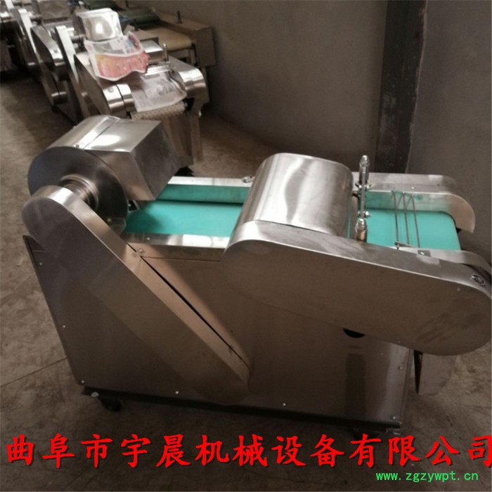 甘蓝包菜切丝切段机 宇晨木耳海带切丝机 山药切片机图3