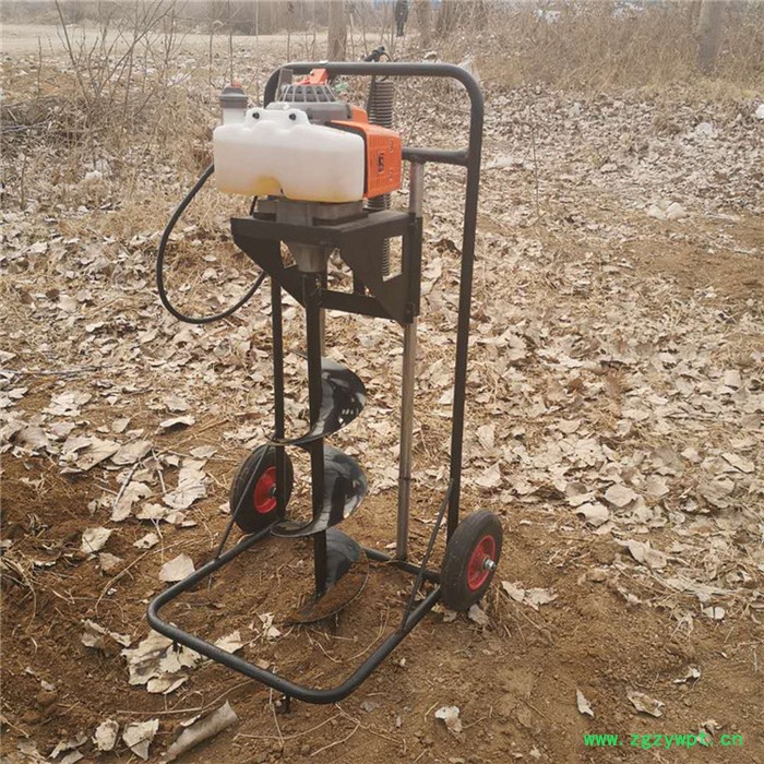 佳硕电动杏鲍菇切片机 铁棍山药切片机 简单耐用型海带切丝机图5