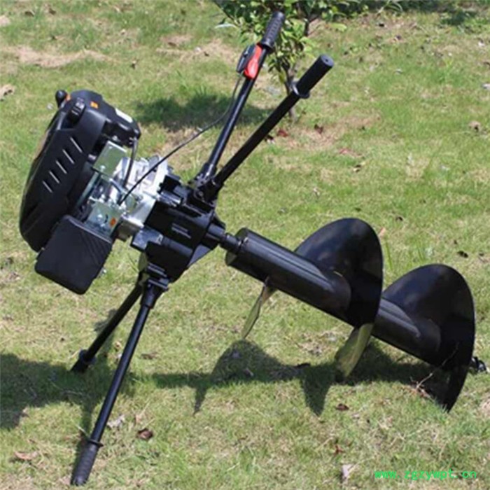 佳硕电动杏鲍菇切片机 铁棍山药切片机 简单耐用型海带切丝机图7