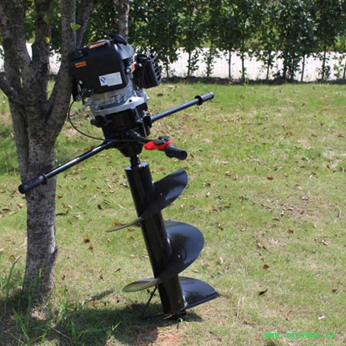 佳硕电动杏鲍菇切片机 铁棍山药切片机 简单耐用型海带切丝机图6