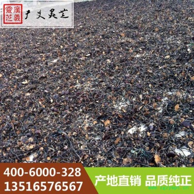 山东无柄灵芝的功效与作用广义灵芝