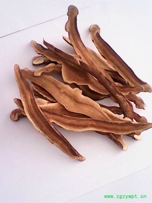 瑞芝堂灵芝切片图2