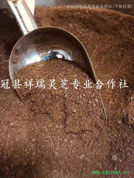 祥瑞 灵芝孢子粉散装