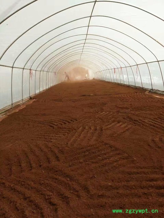 灵芝孢子粉原粉 来自世界长寿之乡广西巴马富硒灵芝粉 包邮 支持批发，量大从优图4
