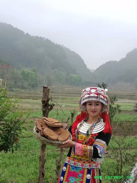 灵芝孢子粉原粉 来自世界长寿之乡广西巴马富硒灵芝粉 包邮 支持批发，量大从优图2